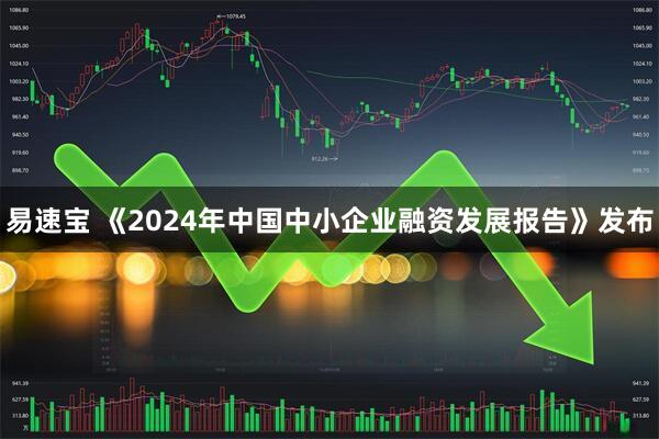 易速宝 《2024年中国中小企业融资发展报告》发布
