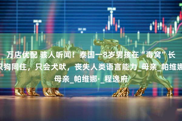 万店优配 骇人听闻！泰国一8岁男孩在“毒窝”长大，与6只狗同住，只会犬吠，丧失人类语言能力_母亲_帕维娜·_程逸府